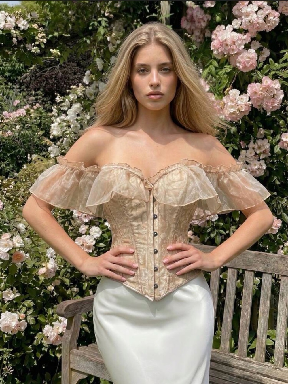 SHEIN Nude Lace Off-Shoulder Corset Top